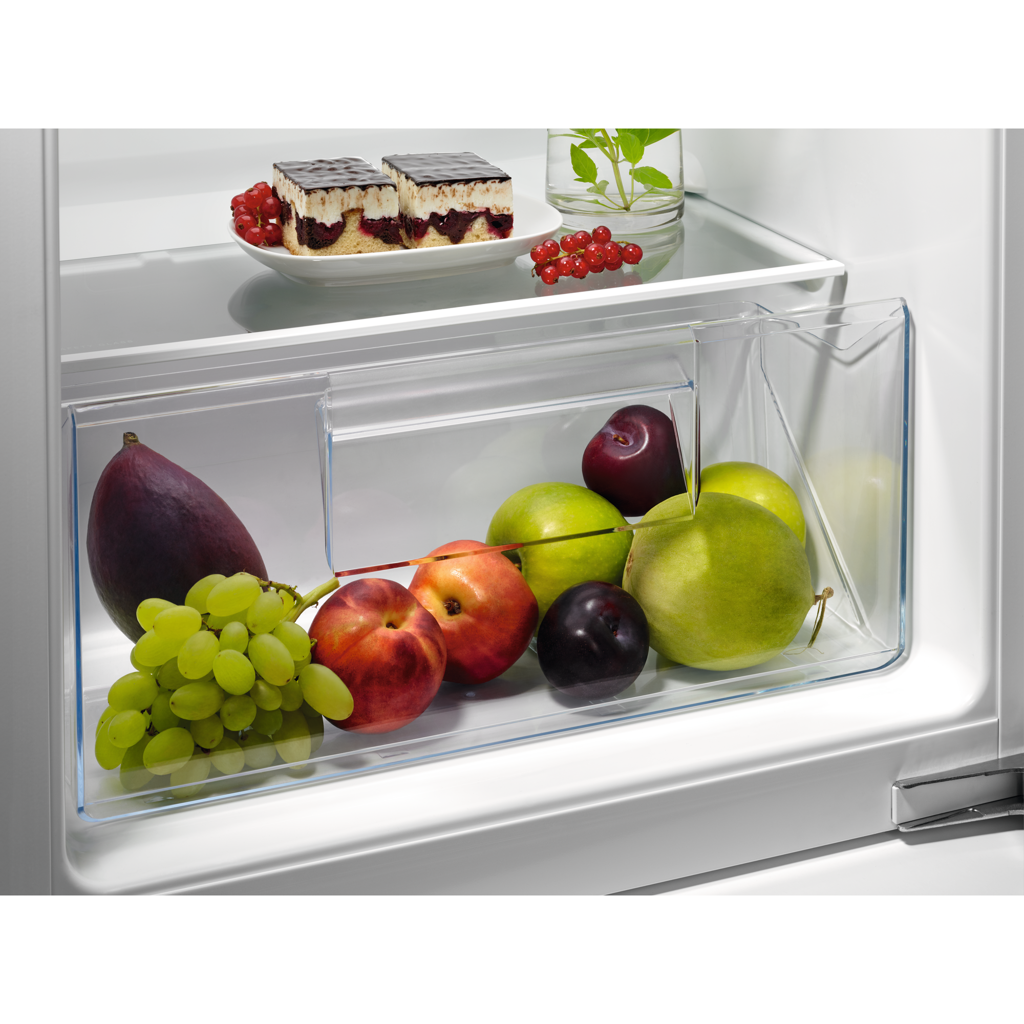AEG NSF5O880ES Kühlschrank